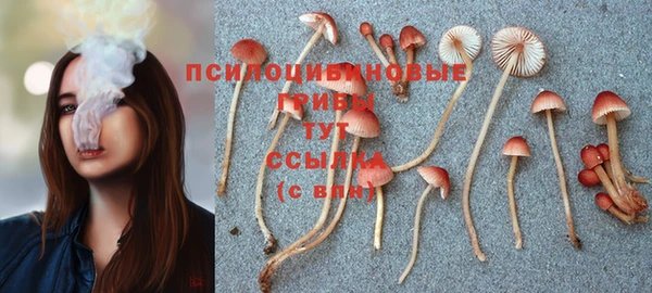 a pvp Новодвинск