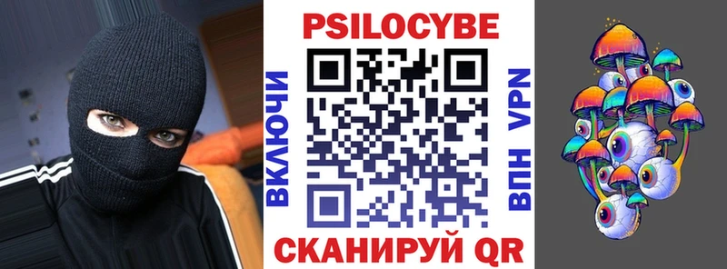 Галлюциногенные грибы Cubensis  где найти наркотики  Петропавловск-Камчатский 