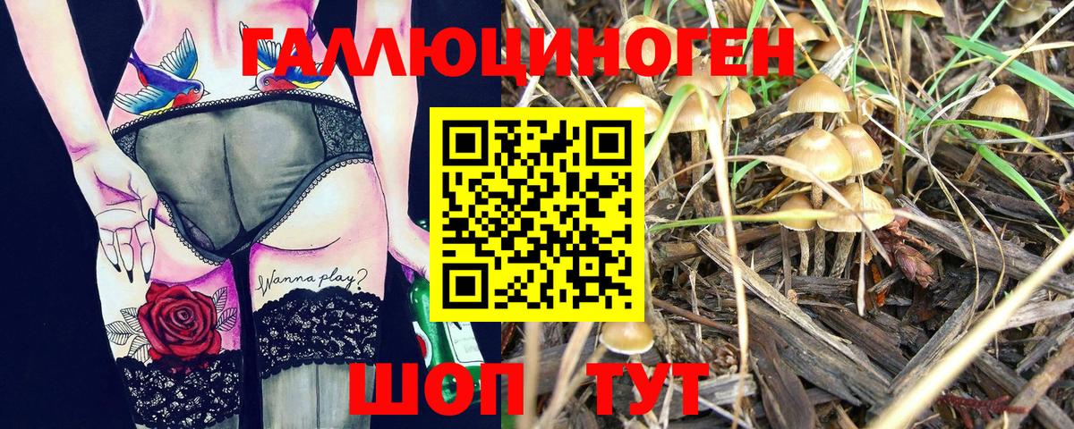 Псилоцибиновые грибы прущие грибы Петропавловск-Камчатский