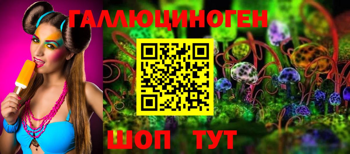 Петропавловск-Камчатский  где купить   Галлюциногенные грибы MAGIC MUSHROOMS  Вход с VPN  Псилоцибиновые грибы MAGIC MUSHROOMS 