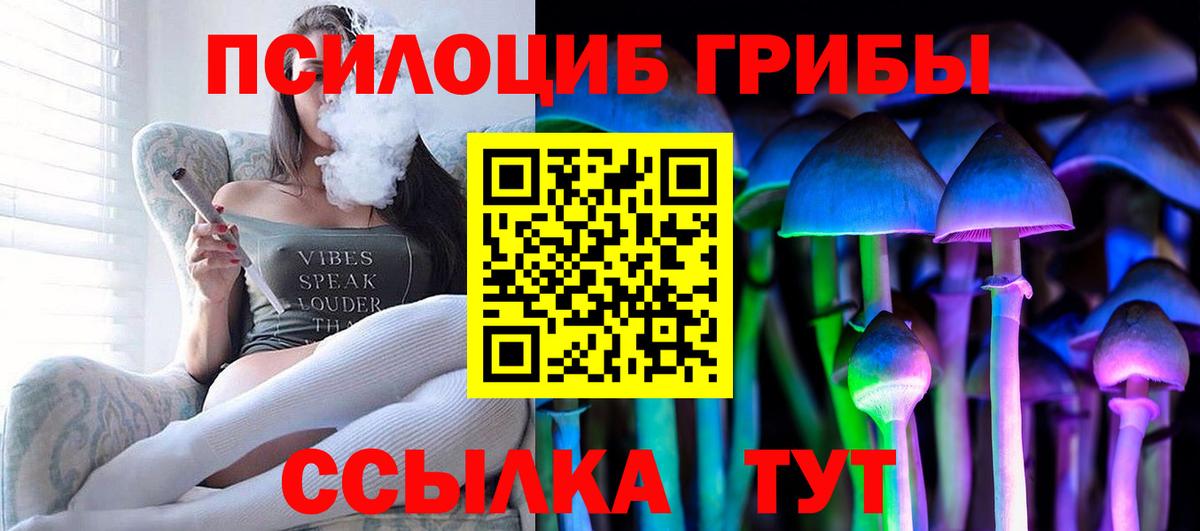 Петропавловск-Камчатский  где можно купить   Галлюциногенные грибы Psilocybine cubensis  Вход с VPN  Галлюциногенные грибы Psilocybine cubensis 